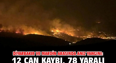 Diyarbakır ve Mardin arasında anız yangını: 12 can kaybı, 78 yaralı