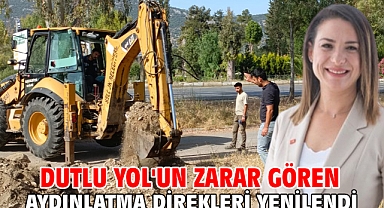 Dutlu Yol'un Zarar Gören Aydınlatma Direkleri Yenilendi
