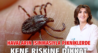 Havaların ısınmasıyla pikniklerde kene riskine dikkat!