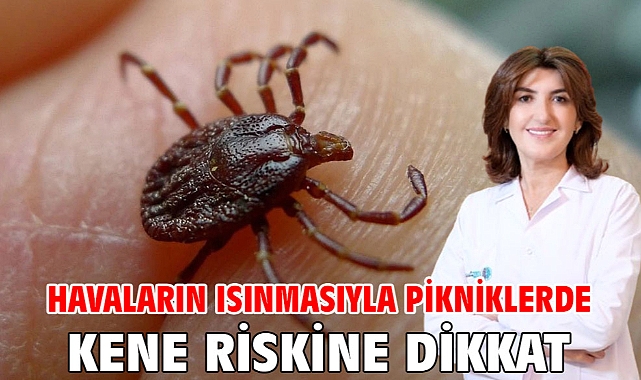 Havaların ısınmasıyla pikniklerde kene riskine dikkat!