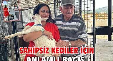 Sahipsiz kediler için anlamlı bağış