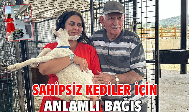 Sahipsiz kediler için anlamlı bağış
