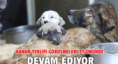 Kanun teklifi görüşmeleri 3.gününde devam ediyor
