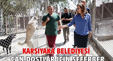Karşıyaka Belediyesi can dostlar için seferber