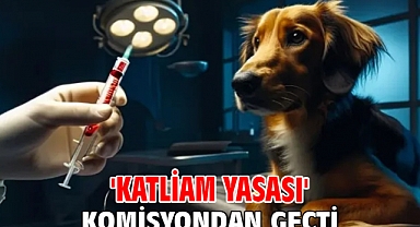 'Katliam yasası' komisyondan geçti