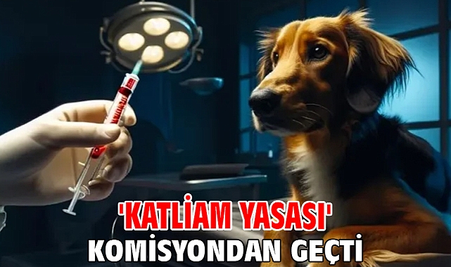 'Katliam yasası' komisyondan geçti