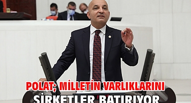 Polat; Milletin Varlıklarını Şirketler Batırıyor