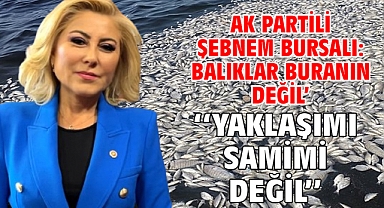 AK Partili Şebnem Bursalı: ''Balıklar Buranın Değil' Yaklaşımı Samimi Değil''