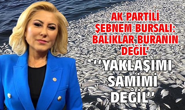 AK Partili Şebnem Bursalı: ''Balıklar Buranın Değil' Yaklaşımı Samimi Değil''