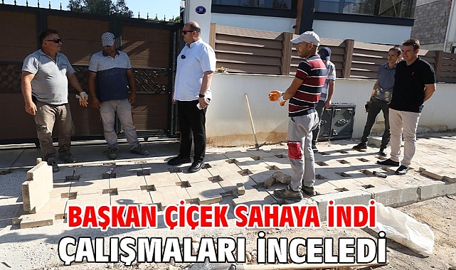 Başkan Çiçek Sahaya İndi Çalışmaları İnceledi