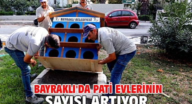 Bayraklı'da pati evlerinin sayısı artıyor