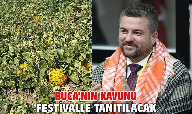 Buca’nın kavunu festivalle tanıtılacak
