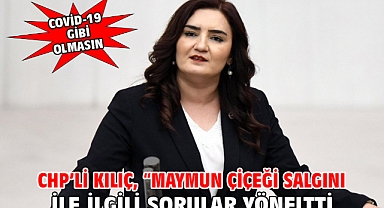 CHP’li Kılıç, “Maymun Çiçeği salgını ile ilgili sorular yöneltti
