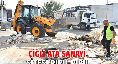 Çiğli Ata Sanayi Sitesi Pırıl Pırıl
