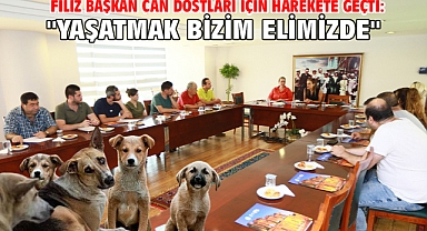 Filiz Başkan can dostları için harekete geçti: