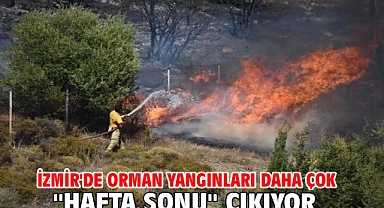İzmir'de orman yangınları daha çok