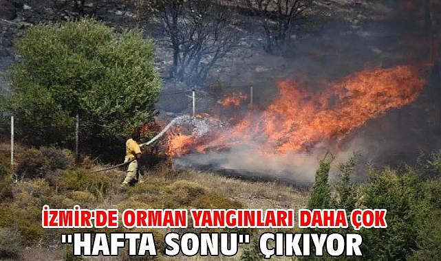 İzmir'de orman yangınları daha çok