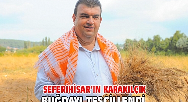 Seferihisar’ın Karakılçık Buğdayı Tescillendi