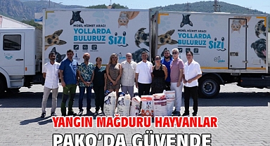 Yangın mağduru hayvanlar PAKO’da güvende