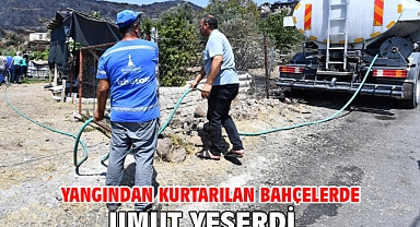 Yangından kurtarılan bahçelerde umut yeşerdi