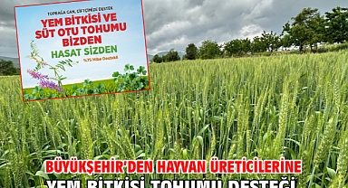 Büyükşehir’den hayvan üreticilerine yem bitkisi tohumu desteği
