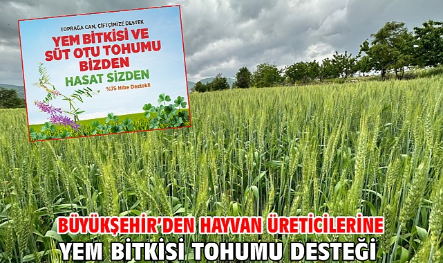 Büyükşehir’den hayvan üreticilerine yem bitkisi tohumu desteği