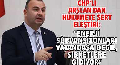 CHP'li Arslan'dan Hükümete Sert Eleştiri: