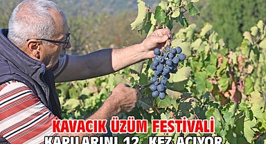 Kavacık Üzüm Festivali kapılarını 12. kez açıyor