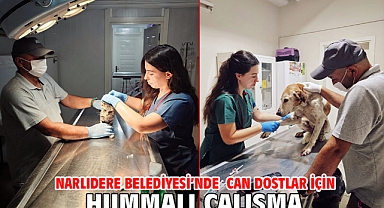 Narlıdere Belediyesi’nde Can Dostlar İçin Hummalı Çalışma