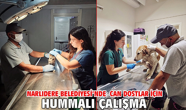 Narlıdere Belediyesi’nde Can Dostlar İçin Hummalı Çalışma