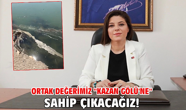 Ortak değerimiz
