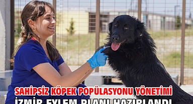 Sahipsiz Köpek Popülasyonu Yönetimi İzmir Eylem Planı hazırlandı