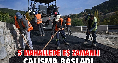 5 mahallede eş zamanlı çalışma başladı