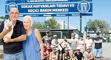 Didim’deki sokak köpekleri İngiliz çifte emanet: 200 köpeğe yurtdışında yeni hayat