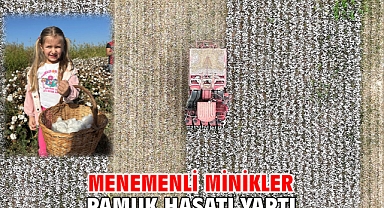 Menemenli minikler Pamuk hasatı yaptı