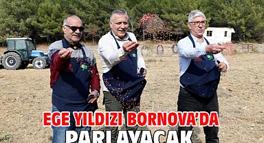 Ege Yıldızı Bornova'da parlayacak