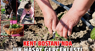 Kent Bostanı’nda ilk hasat gerçekleşti