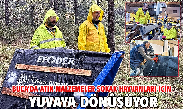 Buca'da atık malzemeler sokak hayvanları için yuvaya dönüşüyor