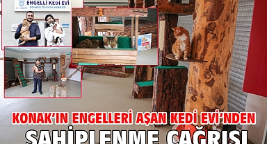 Konak’ın engelleri aşan Kedi Evi’nden sahiplenme çağrısı