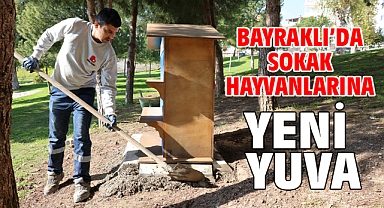 Bayraklı’da sokak hayvanlarına yeni yuva