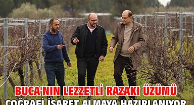 Buca'nın lezzetli razakı üzümü coğrafi işaret almaya hazırlanıyor