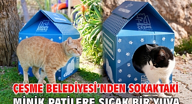 Çeşme Belediyesi’nden sokaktaki minik patilere sıcak bir yuva