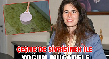 Çeşme'de Sivrisinek ile yoğun mücadele