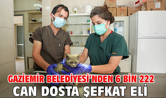 Gaziemir Belediyesi’nden 6 bin 222 can dosta şefkat eli