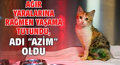 Ağır yaralarına rağmen yaşama tutundu, adı “Azim” oldu