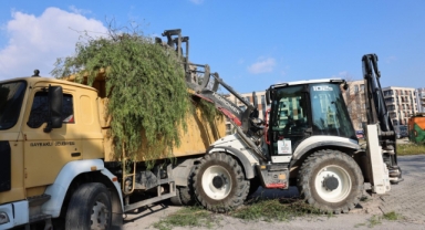 Bayraklı'da parklara kapsamlı bakım
