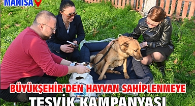 Büyükşehir’den hayvan sahiplenmeye teşvik kampanyası