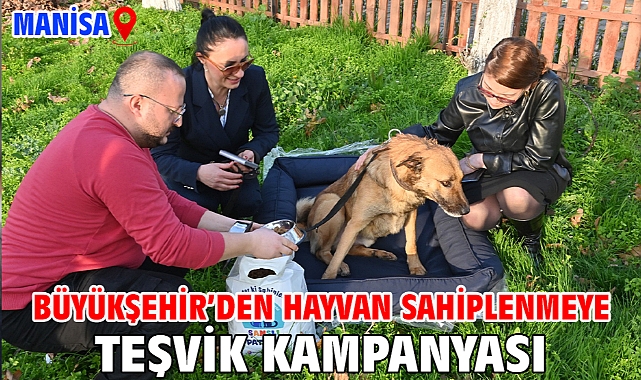 Büyükşehir’den hayvan sahiplenmeye teşvik kampanyası