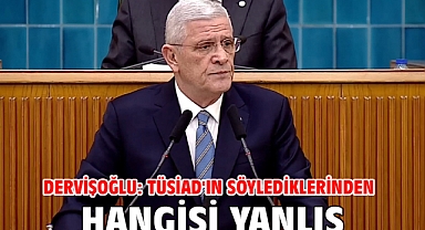 Dervişoğlu: TÜSİAD'ın söylediklerinden hangisi yanlış