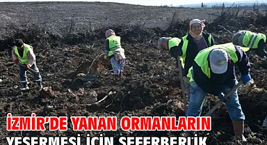 İzmir'de yanan ormanların yeşermesi için seferberlik
